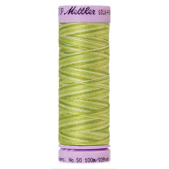 Silk-Finish Multi 50, 100m - Little Spouts FNr. 9817